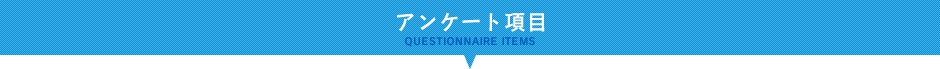 アンケート項目