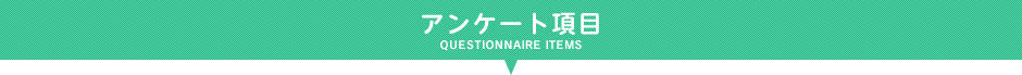 アンケート項目